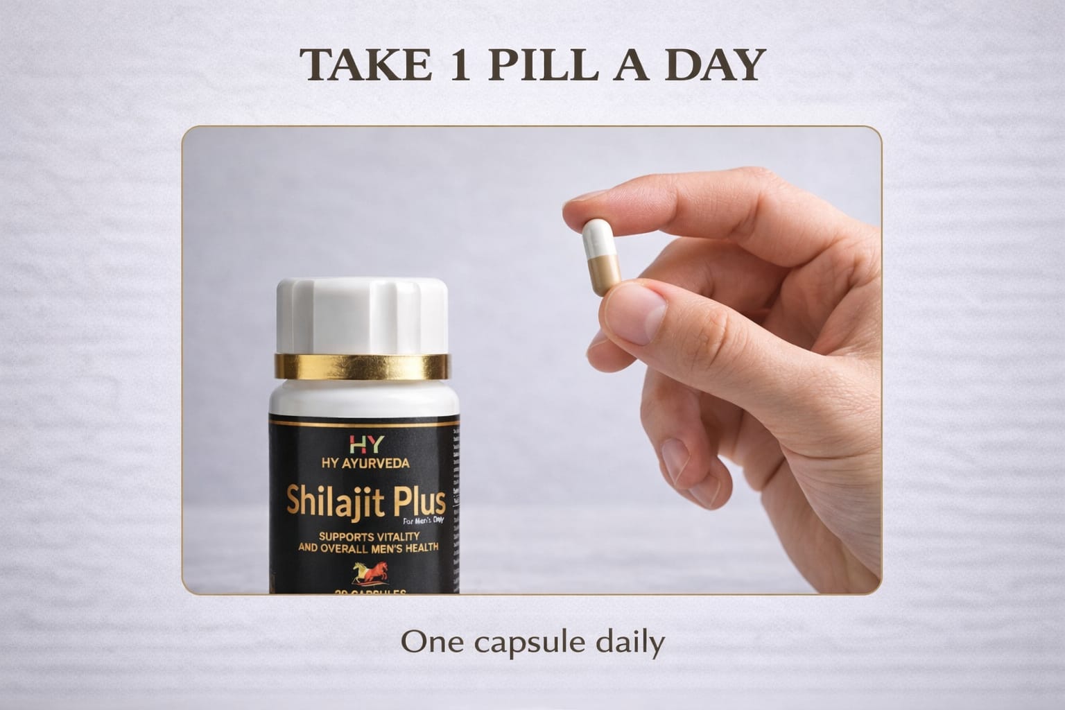 1 Shilajit Plus
